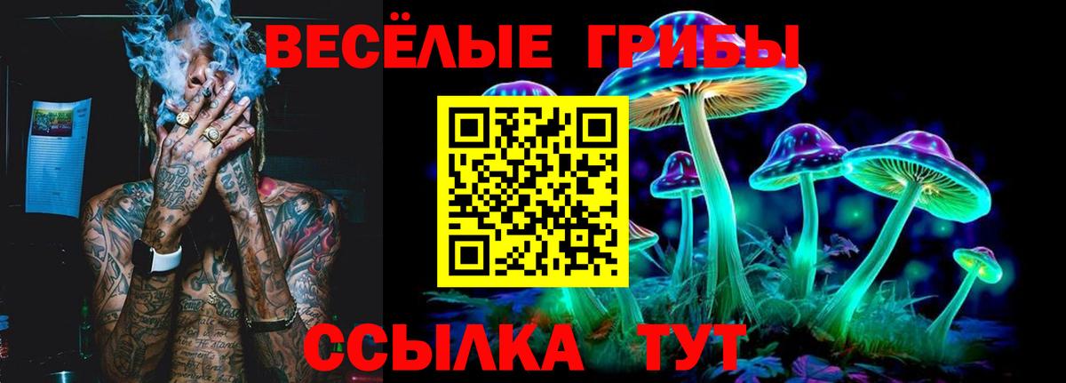 Псилоцибиновые грибы мухоморы Саратов